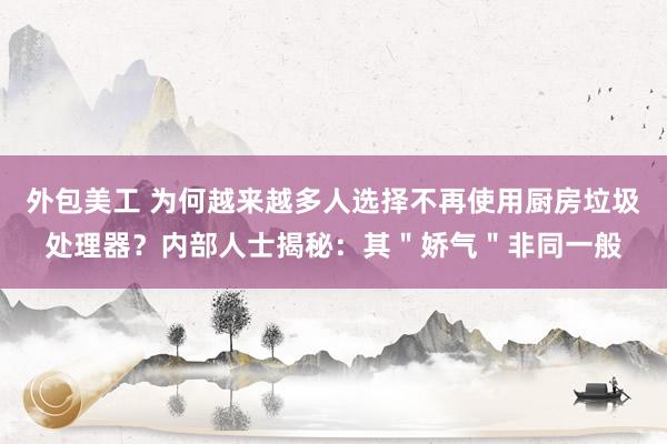 外包美工 为何越来越多人选择不再使用厨房垃圾处理器？内部人士揭秘：其＂娇气＂非同一般