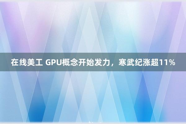 在线美工 GPU概念开始发力，寒武纪涨超11%