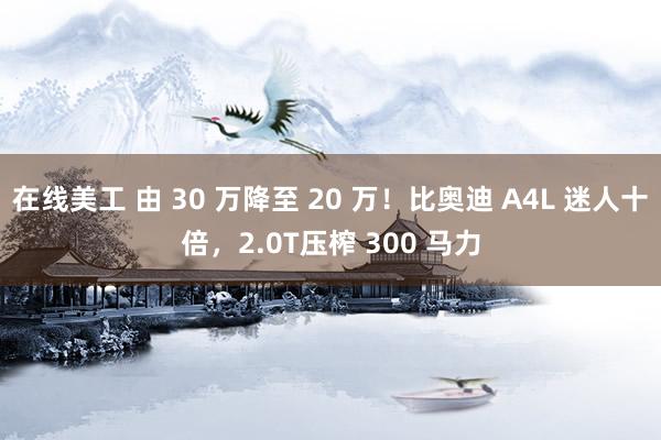 在线美工 由 30 万降至 20 万！比奥迪 A4L 迷人十倍，2.0T压榨 300 马力