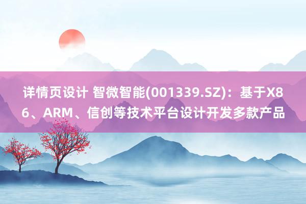 详情页设计 智微智能(001339.SZ)：基于X86、ARM、信创等技术平台设计开发多款产品