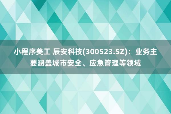 小程序美工 辰安科技(300523.SZ)：业务主要涵盖城市安全、应急管理等领域